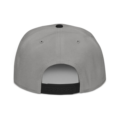 Tangible Theology Retro Snapback Hat — Retro Style Baseball Cap